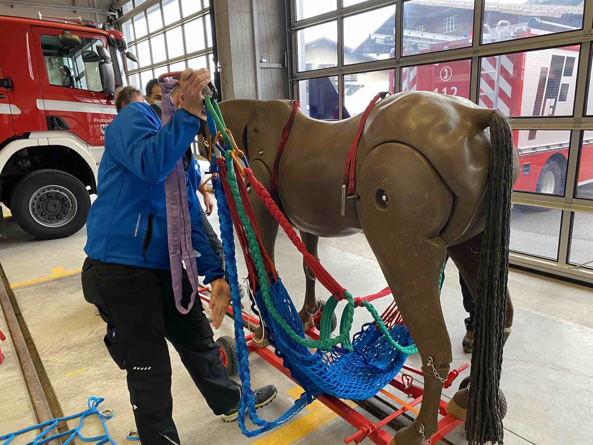 17.05.2021 - Kurs Grosstierrettung