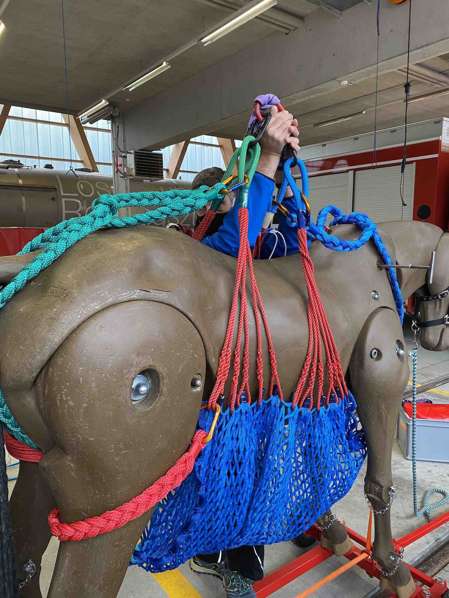 17.05.2021 - Kurs Grosstierrettung