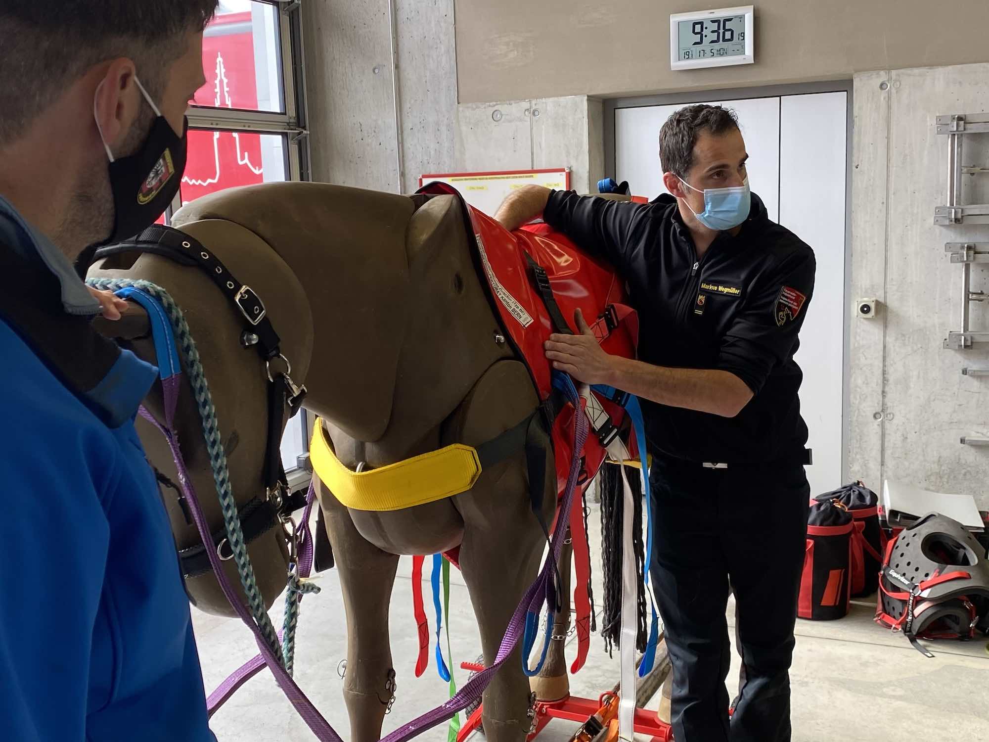 17.05.2021 - Kurs Grosstierrettung