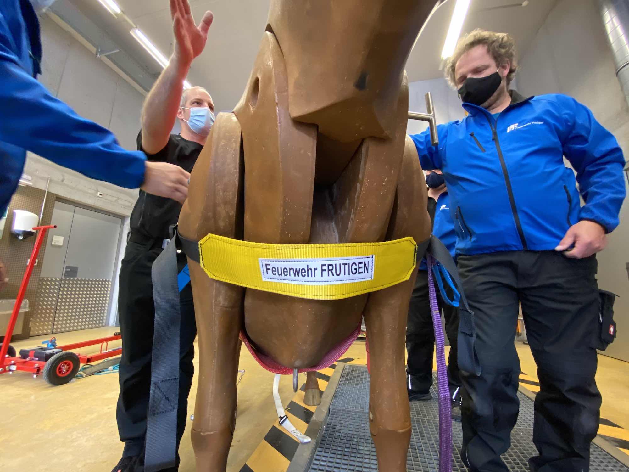 17.05.2021 - Kurs Grosstierrettung