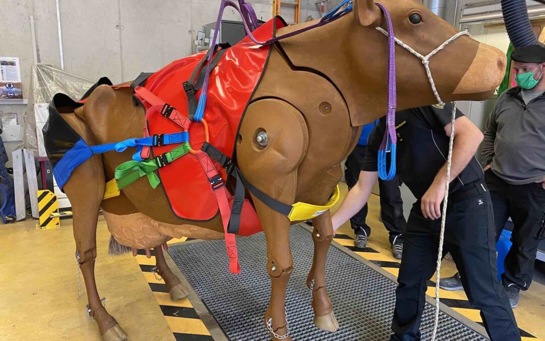 17.05.2021 – Kurs Grosstierrettung