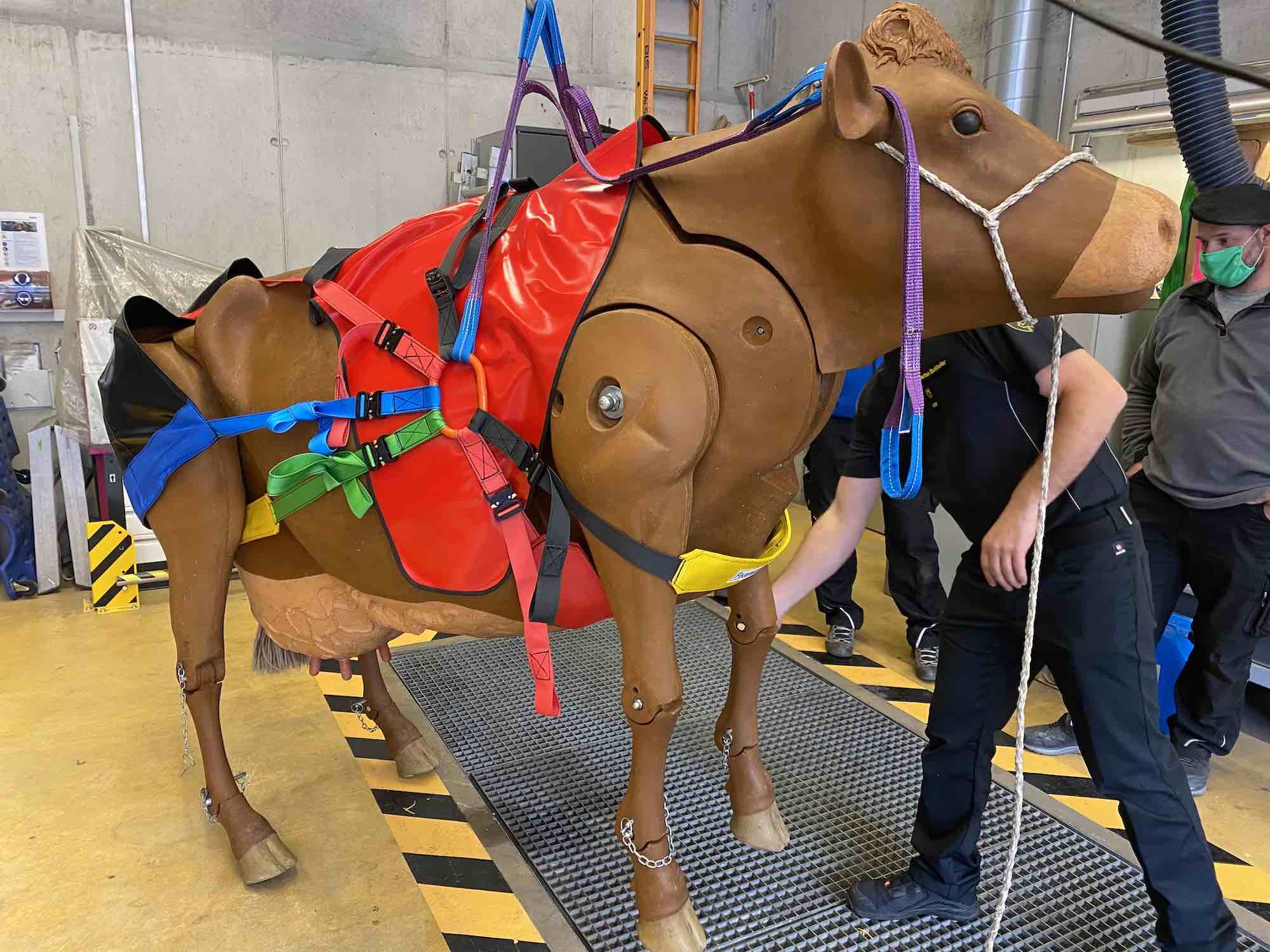 17.05.2021 - Kurs Grosstierrettung