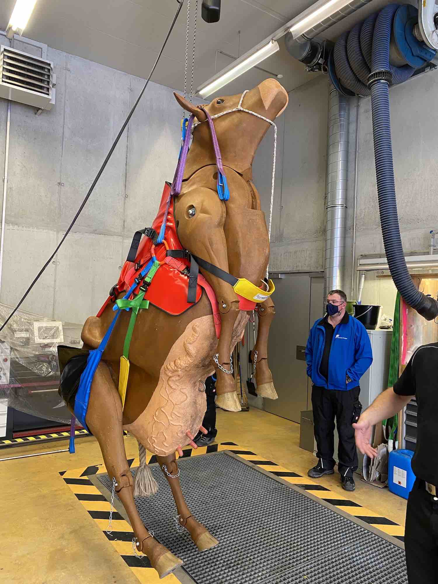 17.05.2021 - Kurs Grosstierrettung