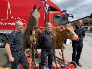 17.05.2021 - Kurs Grosstierrettung