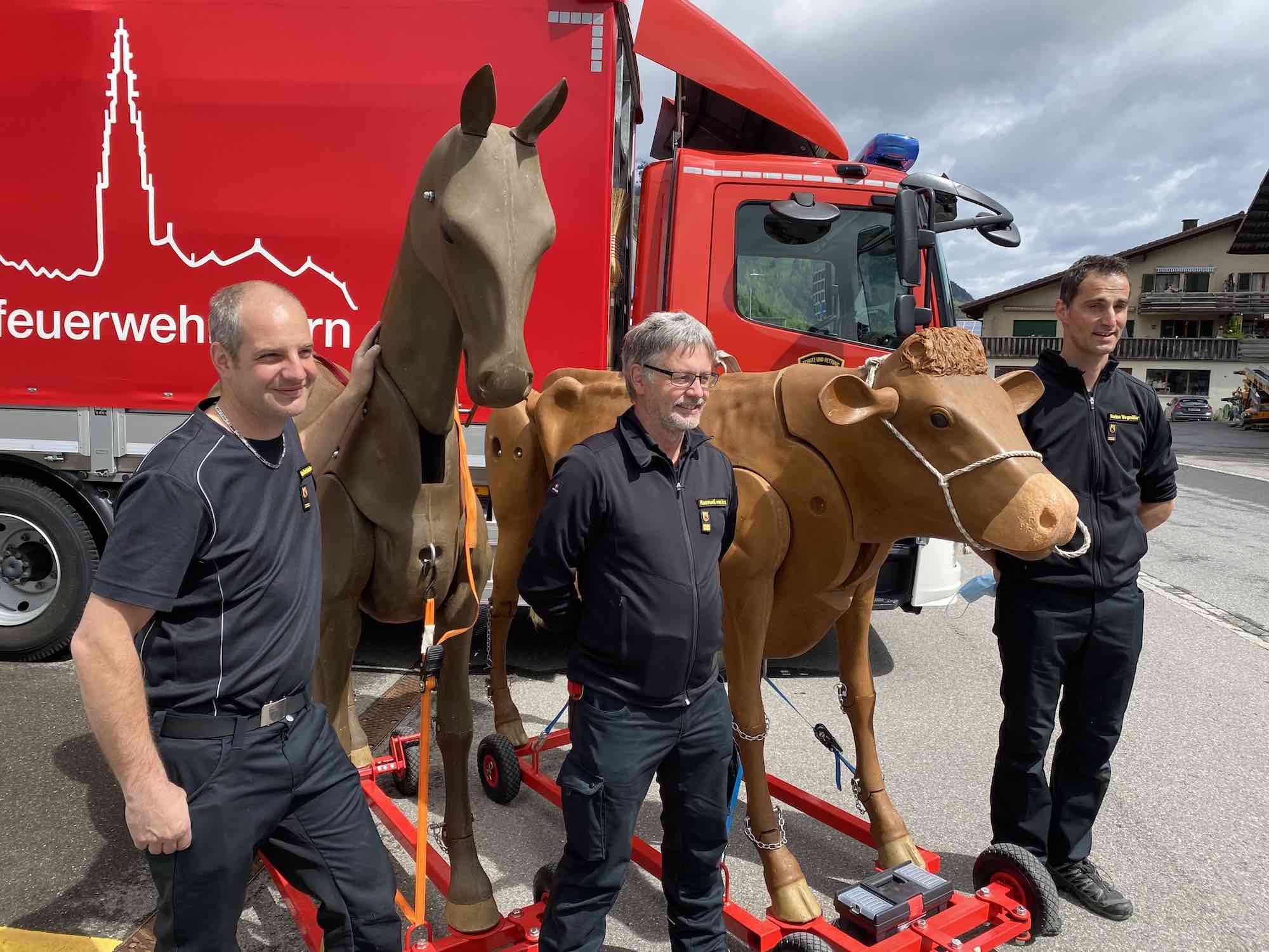17.05.2021 - Kurs Grosstierrettung