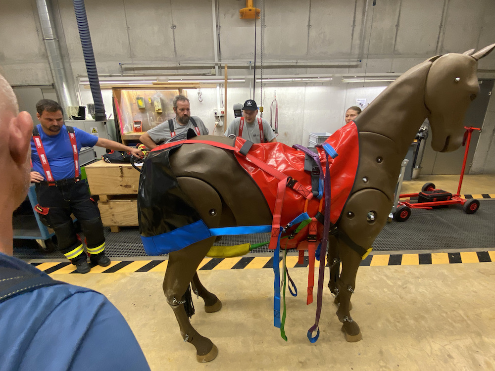 14.+16.09.2021 - Tierrettungs-Übungen