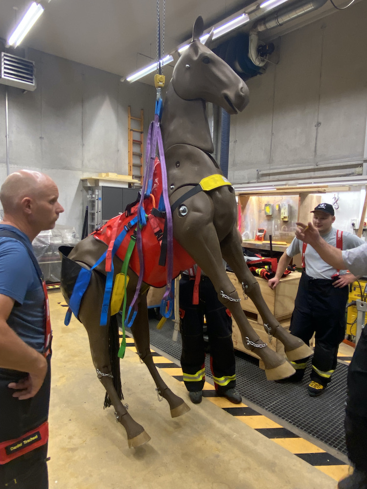 14.+16.09.2021 - Tierrettungs-Übungen