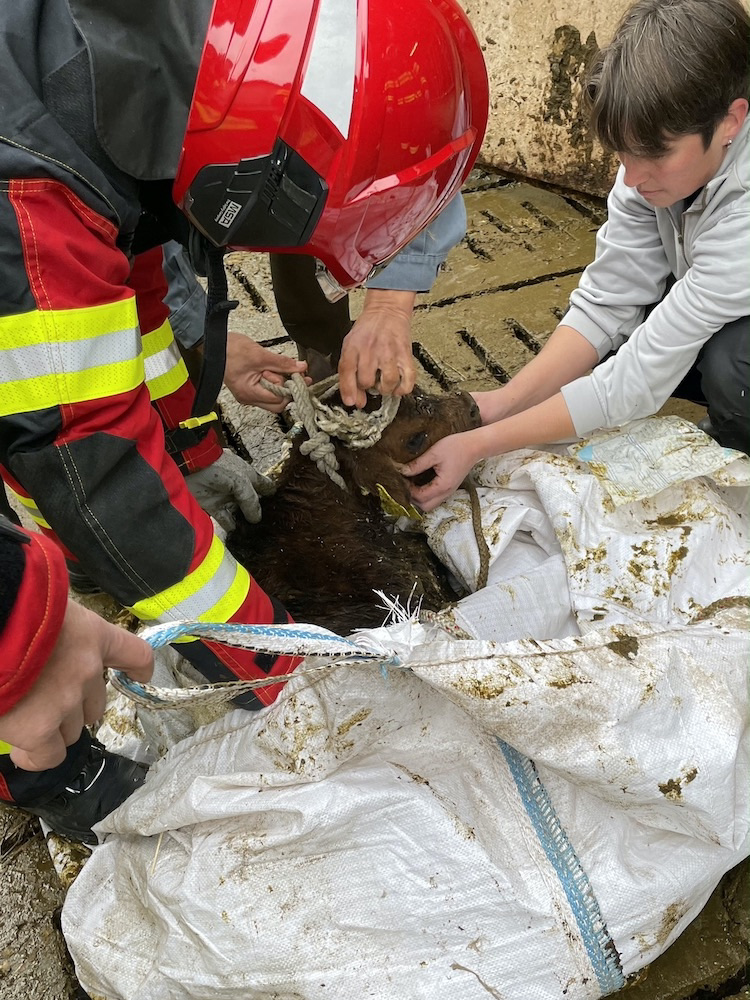 Einsatz GTR 23.11.2021