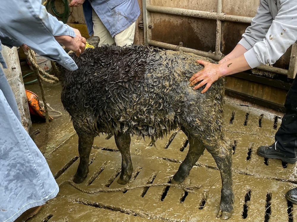 Einsatz GTR 23.11.2021