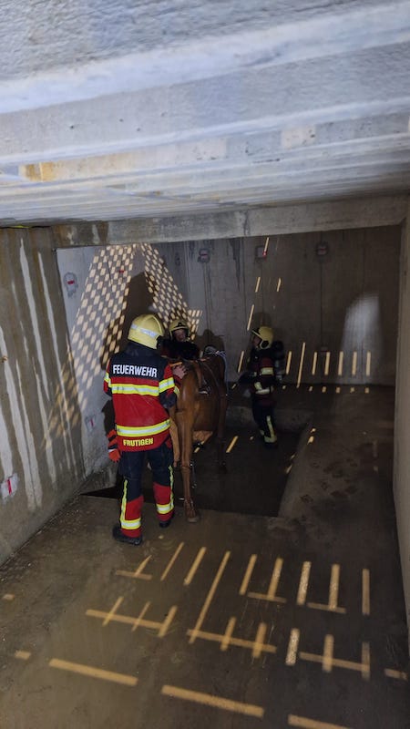 23. April 2025 GTR-Übung